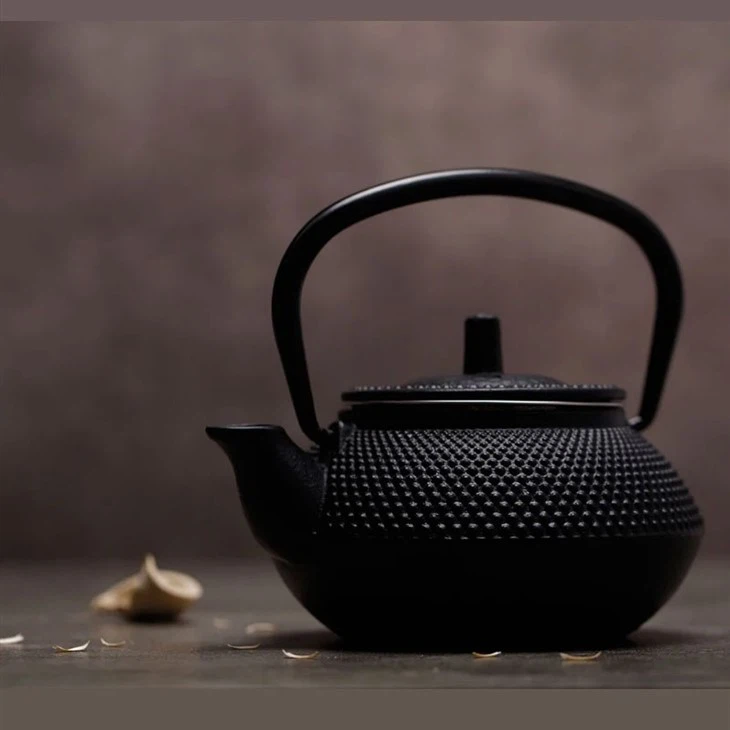 Tea Infuser Iron Teapot Set